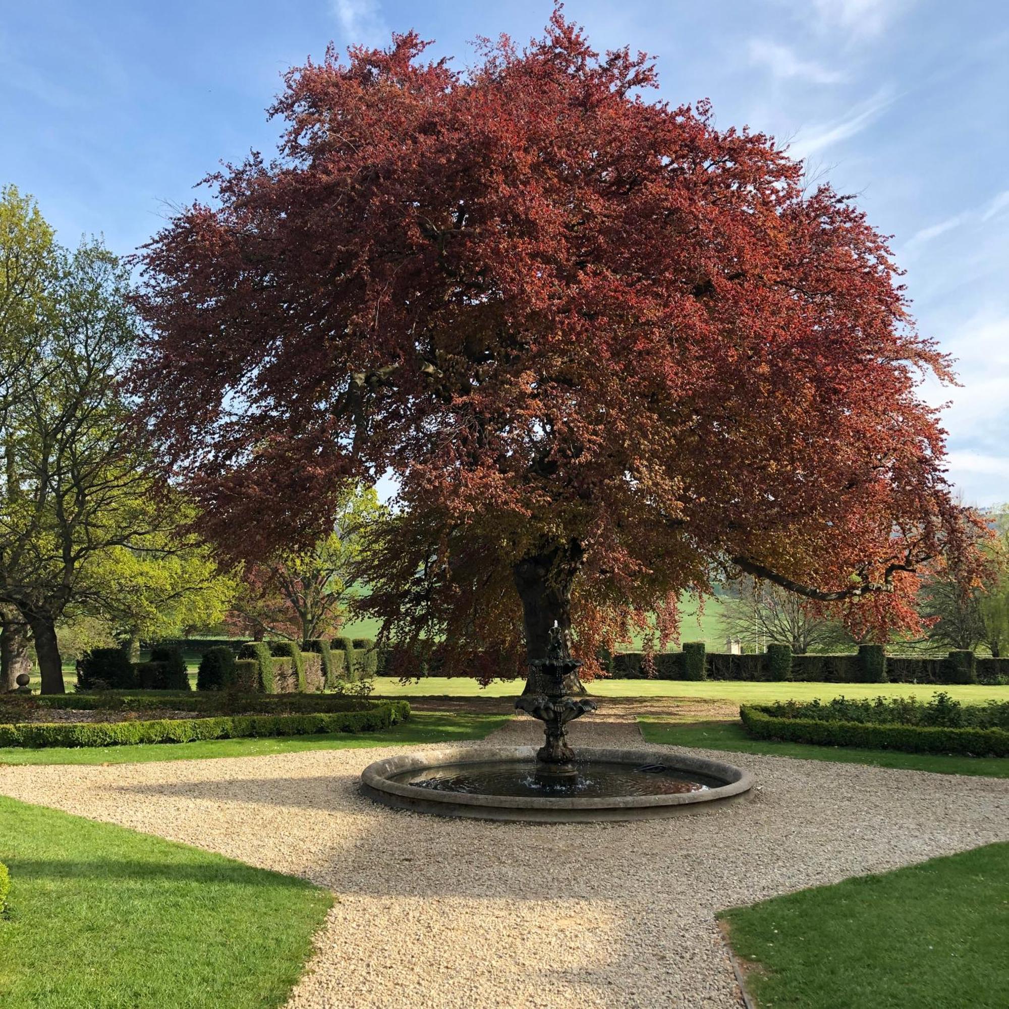 Gisborough Hall Hotel غيوسبرو الغرفة الصورة